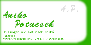 aniko potucsek business card