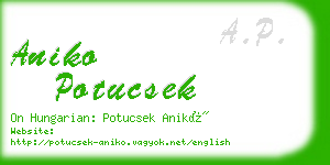 aniko potucsek business card
